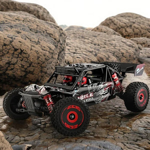 Wltoys 124016 RC Car