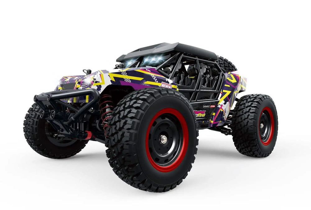 Pro Rc Racing RC CARS – Page 3 – Heavy Duty RC
