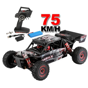 Wltoys 124016 RC Car