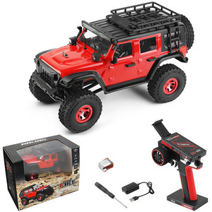 Wltoys 2428 RC Car